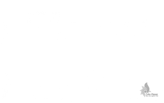 Chính sách giao hoa tươi miễn phí các quận HCM