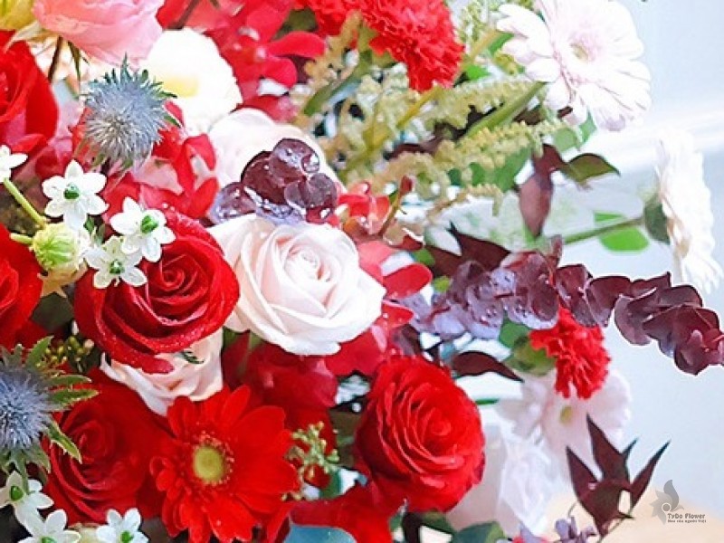 Hoa Chúc Mừng VIP