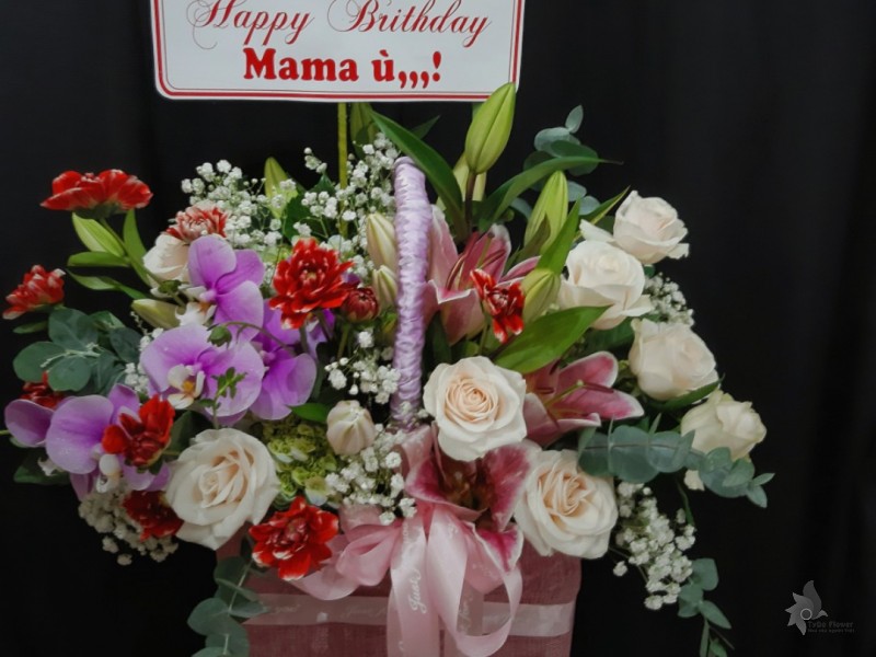 GIỎ HOA CHÚC MỪNG G619