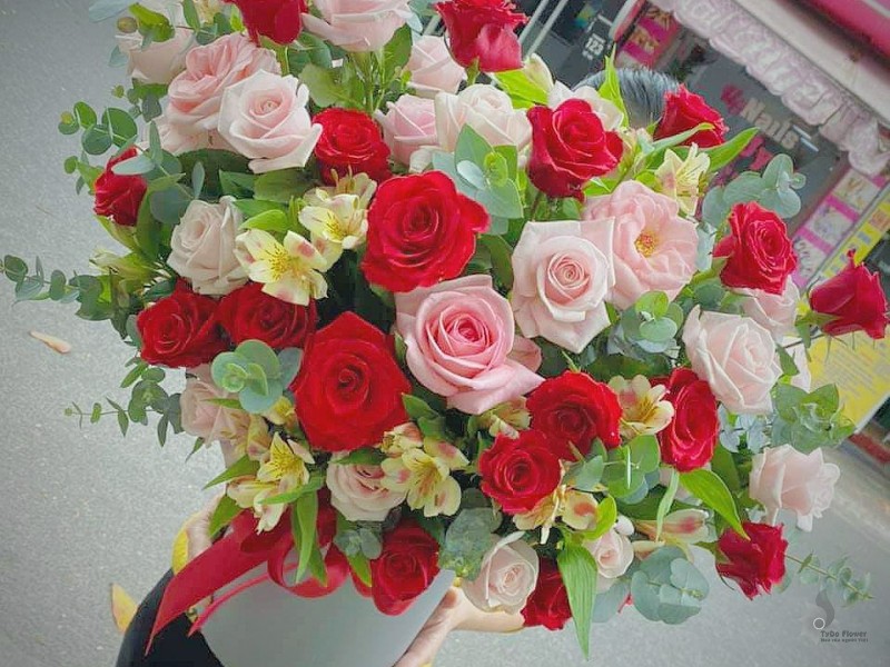 GIỎ HOA CHÚC MỪNG G801