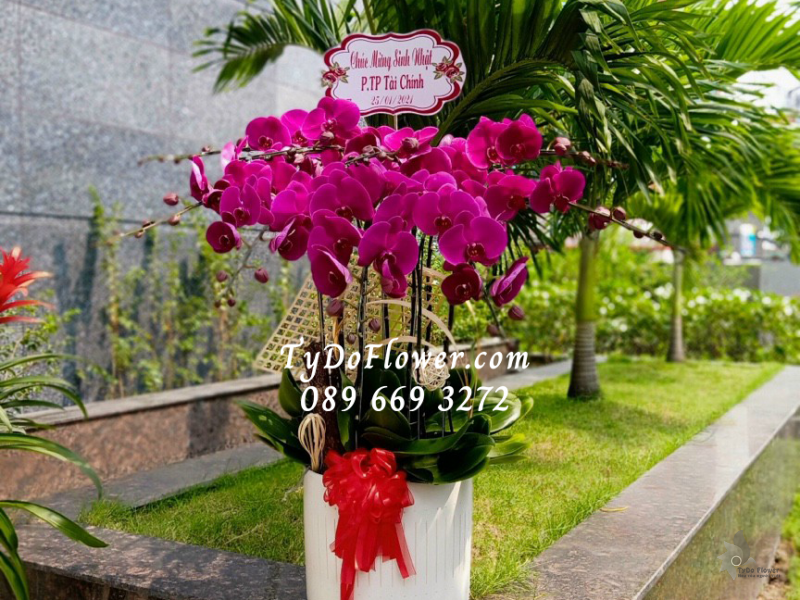 LAN HỒ ĐIỆP TÍM 09 CÀNH LHD1013