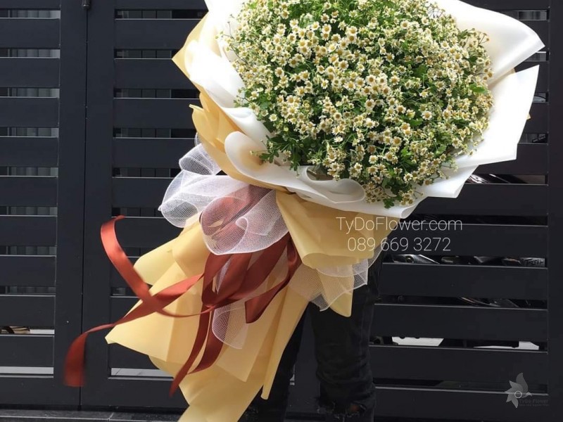 BÓ HOA CHÚC MỪNG BO7223 Bó Hoa Cúc Tana