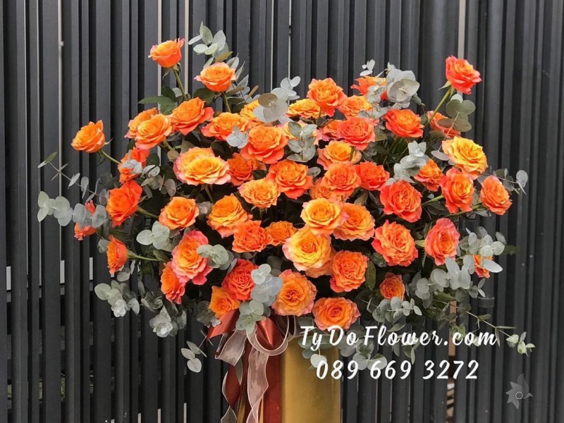 BI122216 BÌNH HOA CHÚC MỪNG