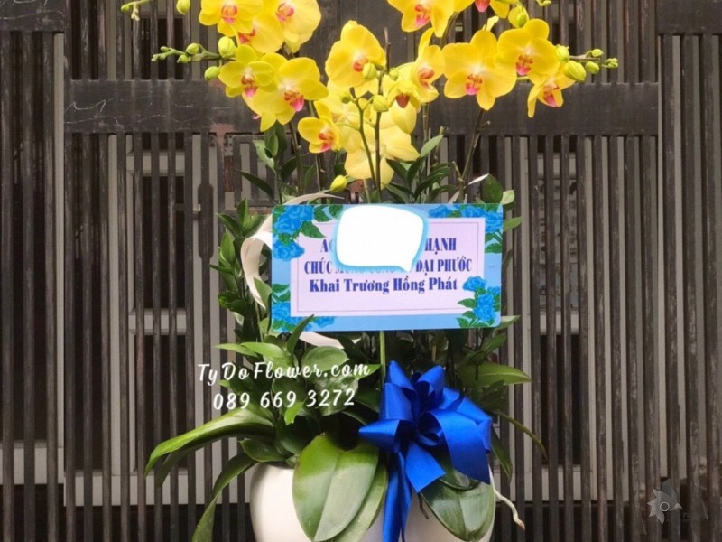 L1222122 CHẬU 5 CÀNH HỒ ĐIỆP VÀNG