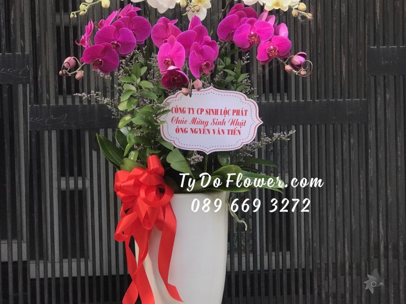 L0123173 CHẬU 6 CÀNH HỒ ĐIỆP TRẮNG TÍM