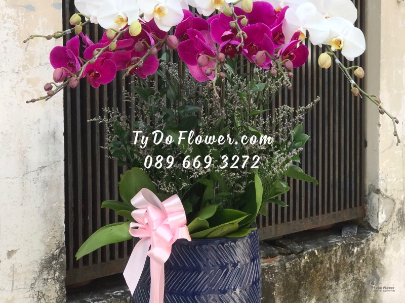 L0123175 CHẬU 9 CÀNH HỒ ĐIỆP TRẮNG TÍM