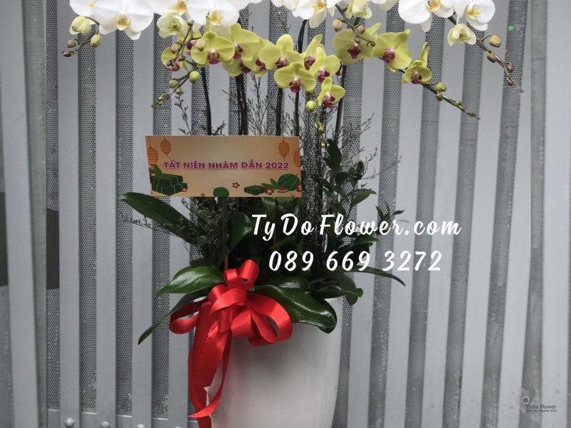 L0123176 CHẬU 8 CÀNH HỒ ĐIỆP TRẮNG VÀNG