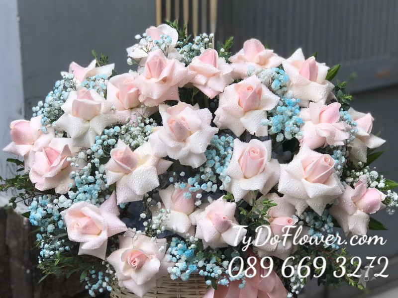 G0123191 GIỎ HOA HỒNG KEM HOA CHÚC MỪNG