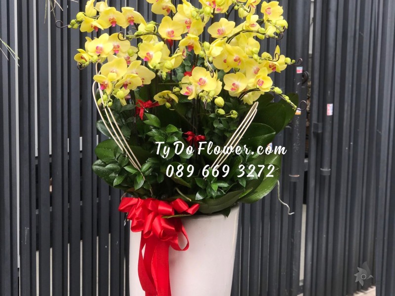 L0123290 CHẬU 12 CÀNH HỒ ĐIỆP VÀNG