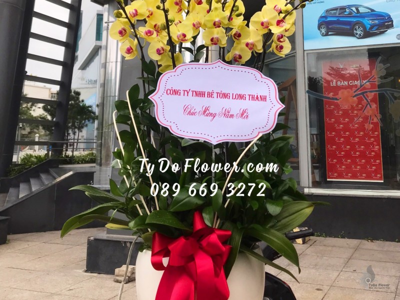 L0123291 CHẬU 9 CÀNH HỒ ĐIỆP VÀNG