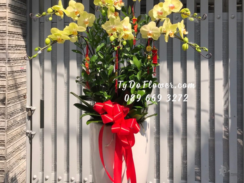 L0123297 CHẬU 8 CÀNH HỒ ĐIỆP VÀNG