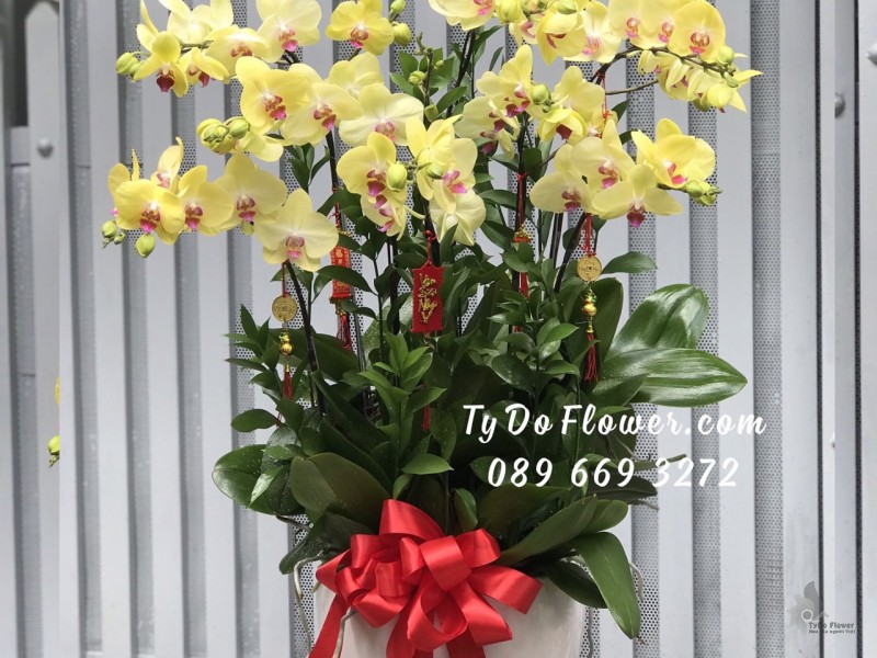 L0123298 CHẬU 12 CÀNH HỒ ĐIỆP VÀNG