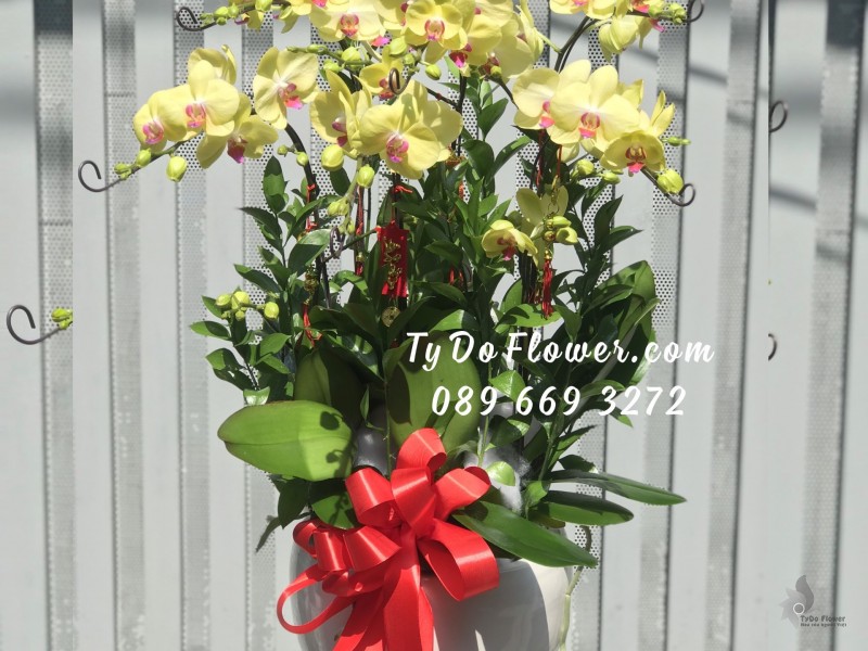 L0123299 CHẬU 6 CÀNH HỒ ĐIỆP VÀNG