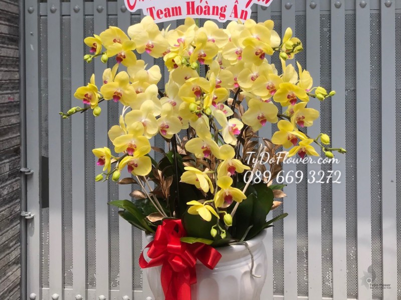 L0323338 CHẬU 9 CÀNH LAN HỒ ĐIỆP VÀNG