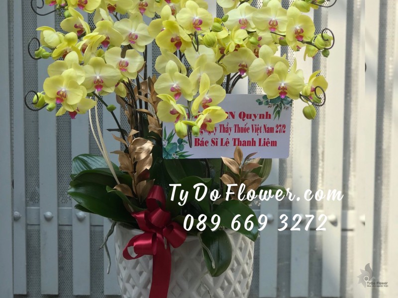 L0323342 CHẬU 9 CÀNH LAN HỒ ĐIỆP VÀNG