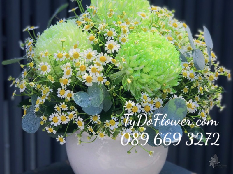 BI0323421 BÌNH HOA CÚC MẪU ĐƠN XANH CỐM Hoa Chúc Mừng