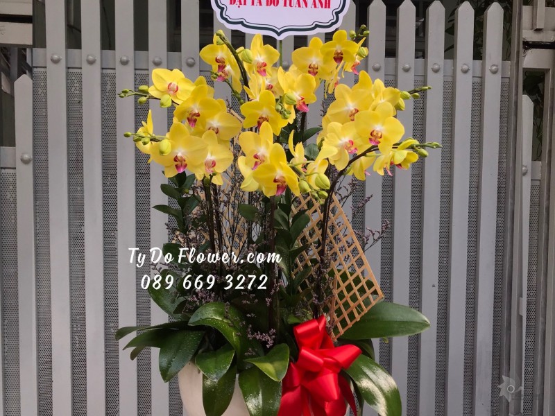 L0323488 CHẬU 8 CÀNH LAN HỒ ĐIỆP VÀNG