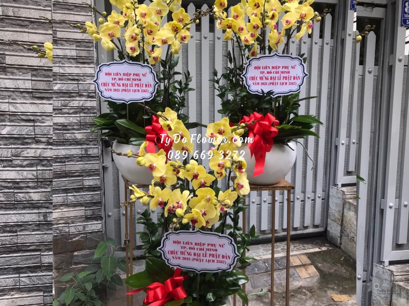 L0523653 CHẬU 08 CÀNH LAN HỒ ĐIỆP VÀNG