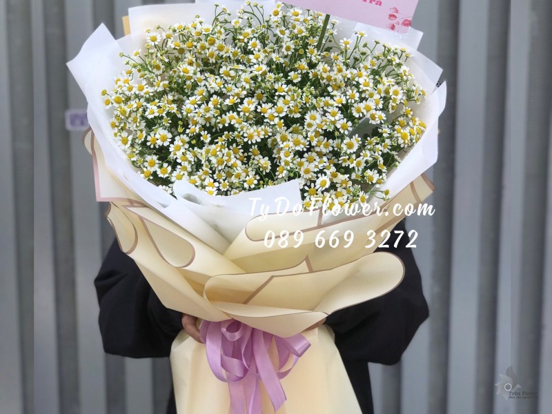 B0523699 BÓ HOA CÚC TANA Hoa Chúc Mừng Sinh Nhật