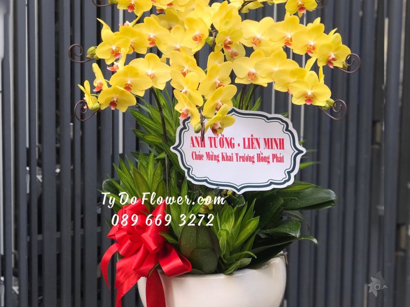 L0623723 CHẬU 8 CÀNH LAN HỒ ĐIỆP VÀNG Hoa Chúc Mừng Khai Trương Hồng Phát