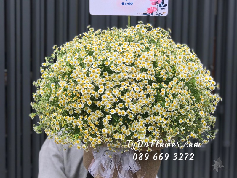 G0623817 GIỎ HOA CÚC TANA TRÒN ĐỀU CÁC MẶT Hoa Chúc Mừng Sinh Nhật