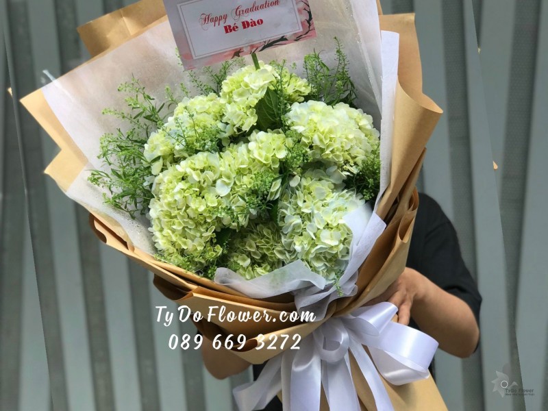 B11231118 BÓ HOA CHÚC MỪNG TỐT NGHIỆP thiết kế hoa cẩm tú cầu xanh bơ