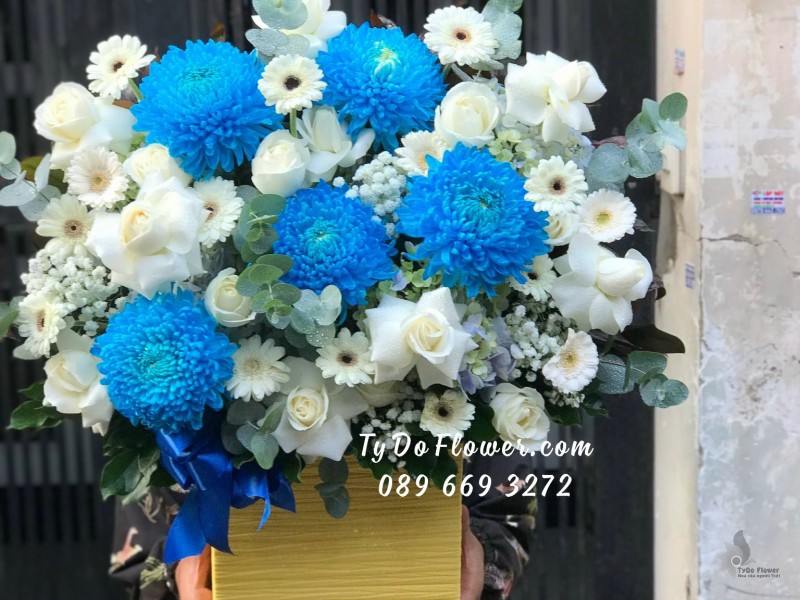 G11231128 GIỎ HOA CHÚC MỪNG thiết kế tone màu xanh trắng chủ đạo hoa Cúc Mẫu Đơn Xanh Dương