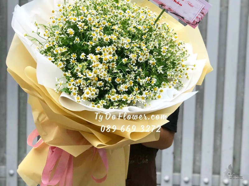 B11231147 BÓ HOA CHÚC MỪNG SINH NHẬT thiết kế hoa Cúc Tana