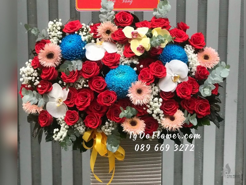 G01241270 GIỎ HOA CHÚC MỪNG thiết kế tone đỏ, điểm nhấn Cúc Mẫu Đơn Xanh Dương