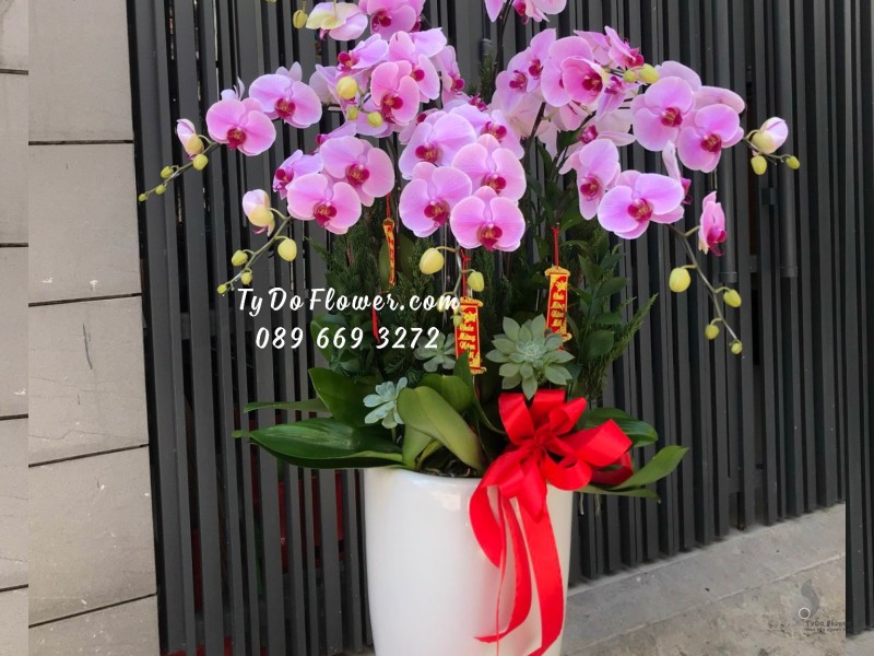 L01241328 CHẬU 09 CÀNH LAN HỒ ĐIỆP TÍM Hoa Chúc Mừng Năm Mới thiết kế chủ đề Tết