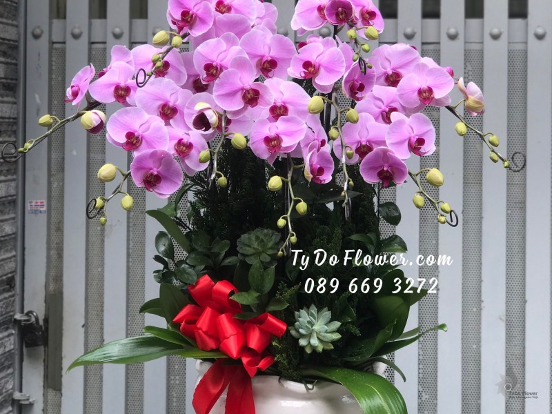 L01241329 CHẬU 09 CÀNH LAN HỒ ĐIỆP TÍM Hoa Chúc Mừng Năm Mới thiết kế chủ đề Tết