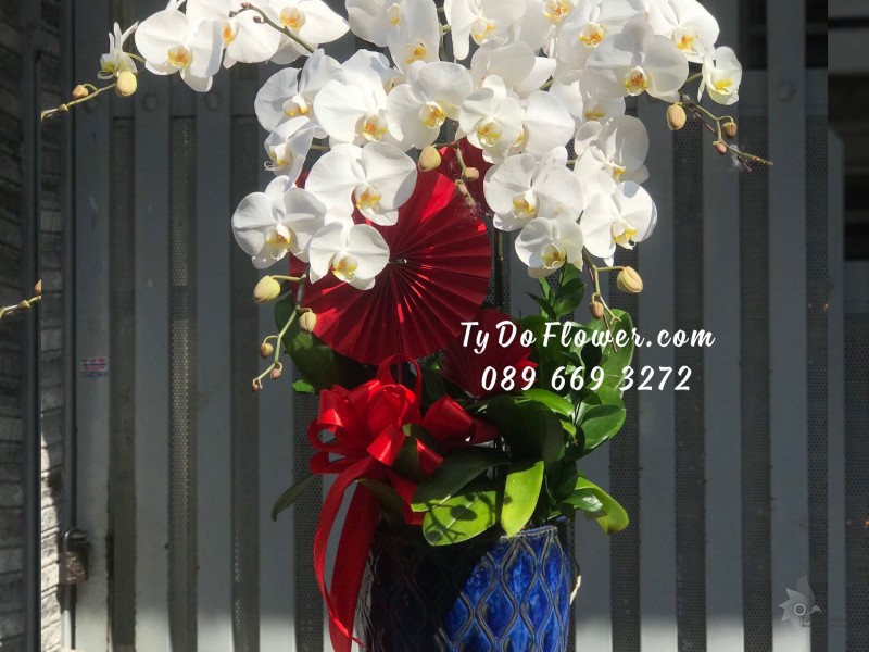 L02241345 CHẬU 05 CÀNH LAN HỒ ĐIỆP TRẮNG Hoa Chúc Mừng Năm Mới thiết kế chủ đề Tết