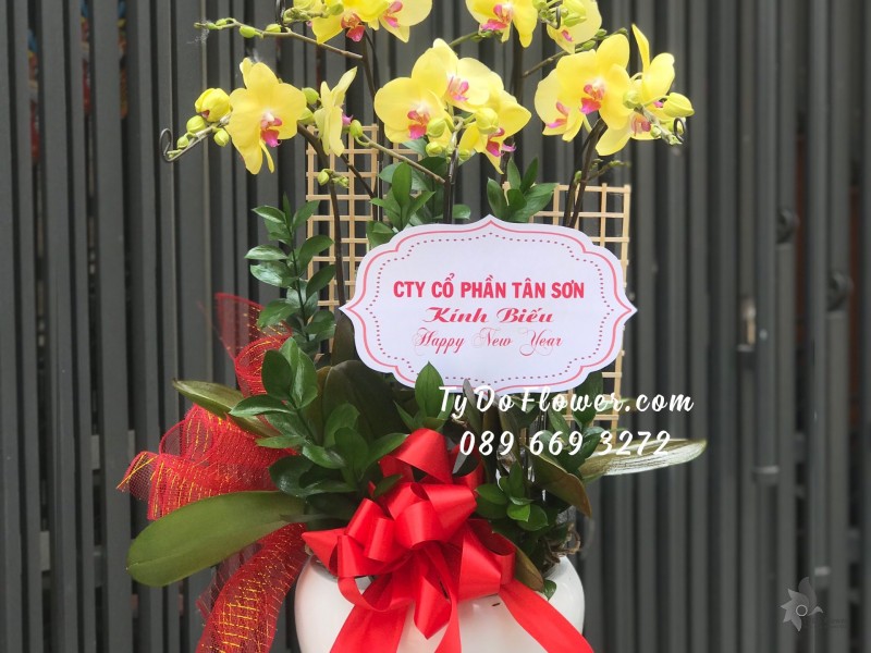 L02241347 CHẬU 05 CÀNH LAN HỒ ĐIỆP VÀNG Hoa Chúc Mừng Năm Mới thiết kế chủ đề Tết
