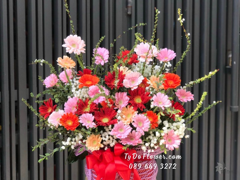 G02241377 GIỎ HOA CHÚC MỪNG thiết kế Hoa Đồng Tiền, Hoa Tuyết Mai