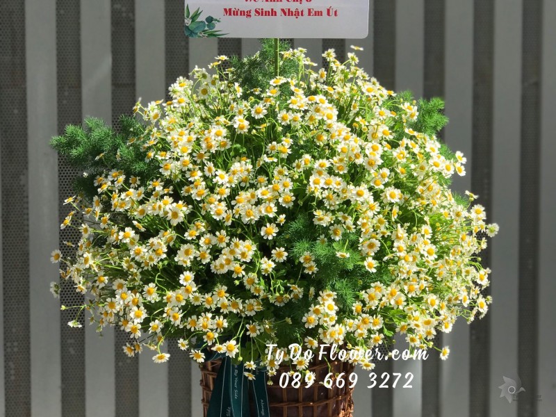 G03241388 GIỎ HOA CHÚC MỪNG SINH NHẬT EM ÚT thiết kế giỏ hoa Cúc Tana, tròn đều các mặt