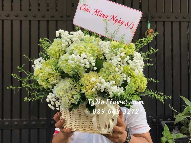 G03241436 GIỎ HOA CHÚC MỪNG 8/3 thiết kế Hoa Cẩm Tú Cầu Xanh Bơ