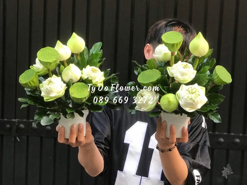 G03241459 MỘT CẶP HOA SEN TRẮNG ĐỂ BÀN