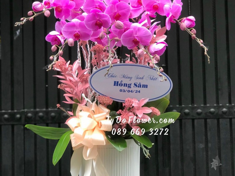 L04241490 CHẬU 5 CÀNH LAN HỒ ĐIỆP TÍM HỒNG