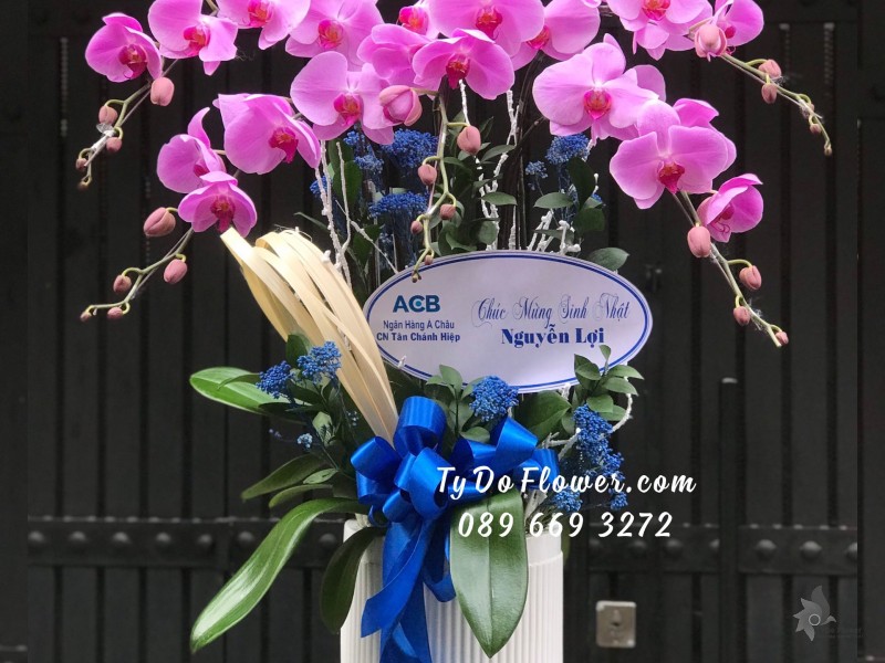 L04241498 CHẬU 5 CÀNH LAN HỒ ĐIỆP TÍM HỒNG