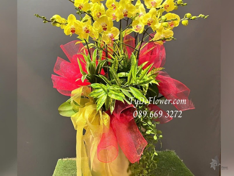 L012515 CHẬU 9 CÀNH LAN HỒ ĐIỆP VÀNG Hoa Chúc Mừng Thiết kế trang trí cây xanh tiểu cảnh