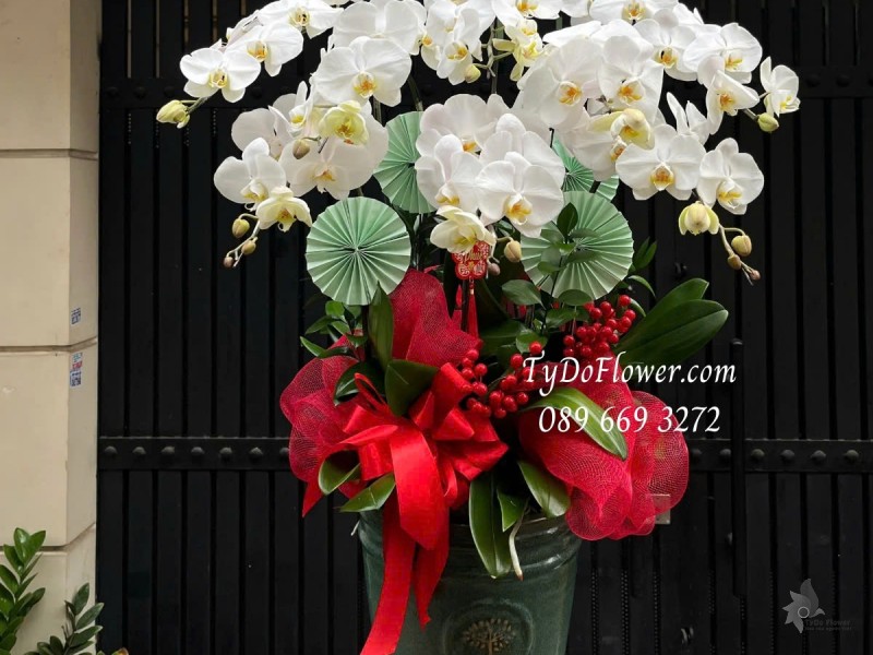 L012521 CHẬU 8 CÀNH LAN HỒ ĐIỆP TRẮNG Hoa Chúc Mừng Thiết kế trang trí phụ kiện sang trọng