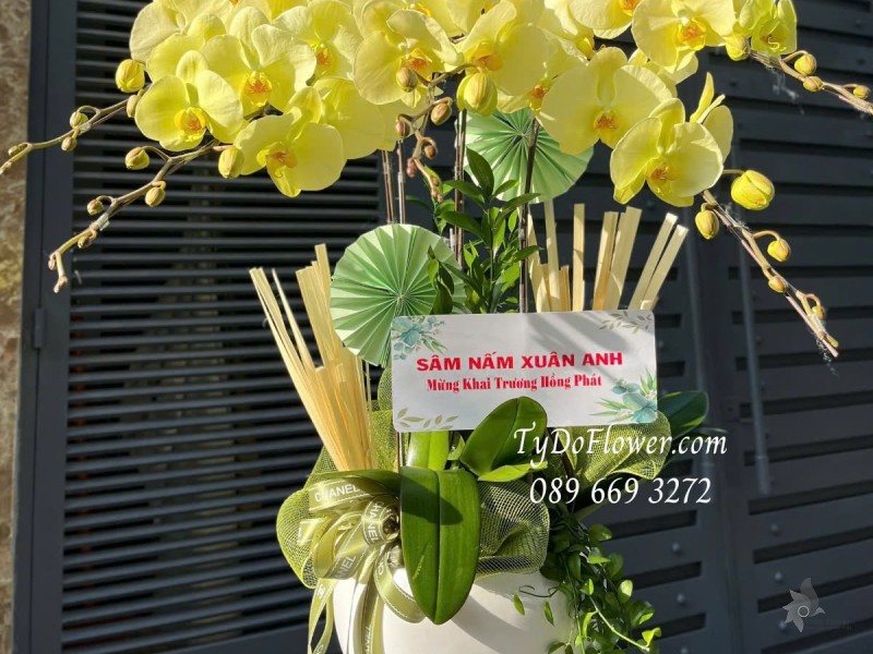 L012528 CHẬU 05 CÀNH LAN HỒ ĐIỆP VÀNG CHANH Hoa Chúc Mừng Khai Trương Hồng Phát trang trí phụ kiện và cây xanh tiểu cảnh