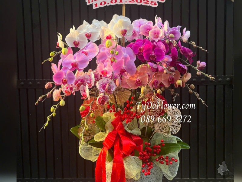 L012531 CHẬU 12 CÀNH LAN HỒ ĐIỆP NGŨ SẮC Hoa Chúc Mừng Sinh Nhật Thiết kế phụ kiện sang trọng