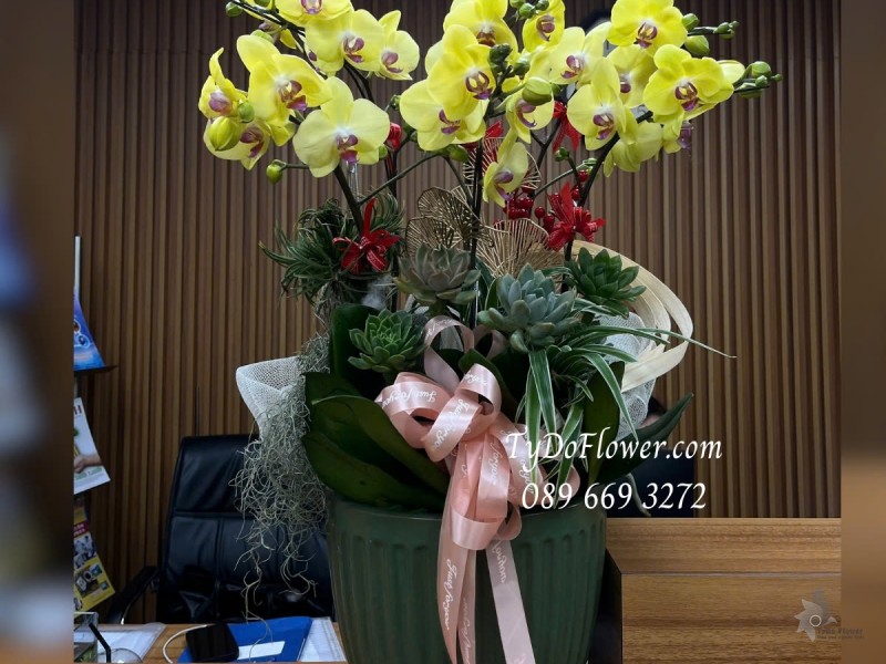 L012534 CHẬU 06 CÀNH LAN HỒ ĐIỆP VÀNG Hoa Chúc Mừng trang trí phụ kiện sang trọng, cây xanh tiểu cảnh, hoa sen đá