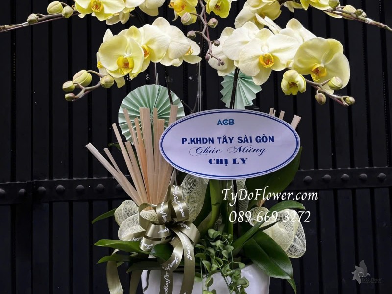 L012535 CHẬU 05 CÀNH LAN HỒ ĐIỆP VÀNG CHANH Hoa Chúc Mừng trang trí phụ kiện và cây xanh tiểu cảnh