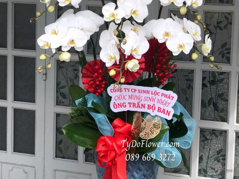 L012536 CHẬU 6 CÀNH LAN HỒ ĐIỆP TRẮNG Hoa Chúc Mừng Sinh Nhật Thiết kế trang trí phụ kiện sang trọng