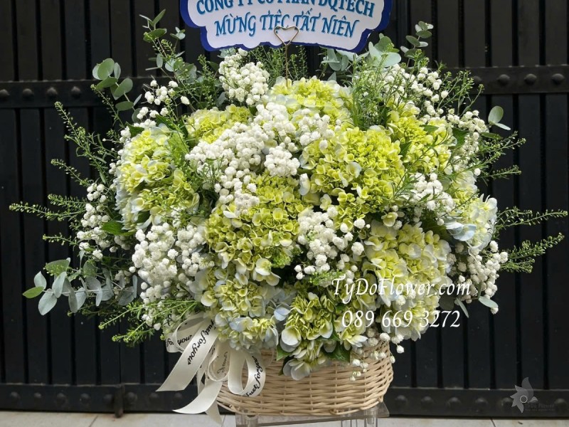 G012567 GIỎ HOA CHÚC MỪNG TẤT NIÊN Thiết kế Hoa Cẩm Tú Cầu Xanh Bơ, Baby Trắng