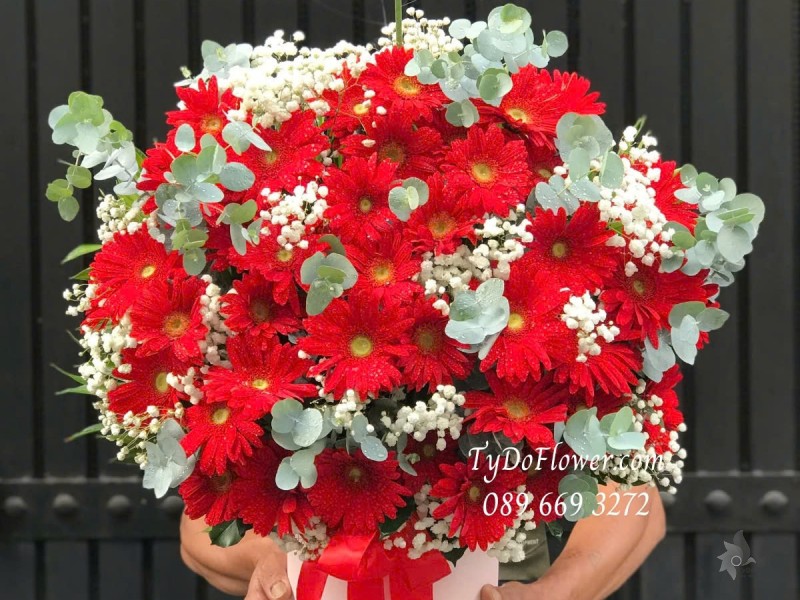 G012584 GIỎ HOA CHÚC MỪNG KHAI TRƯƠNG HỒNG PHÁT Thiết kế Hoa Đồng Tiền Đỏ