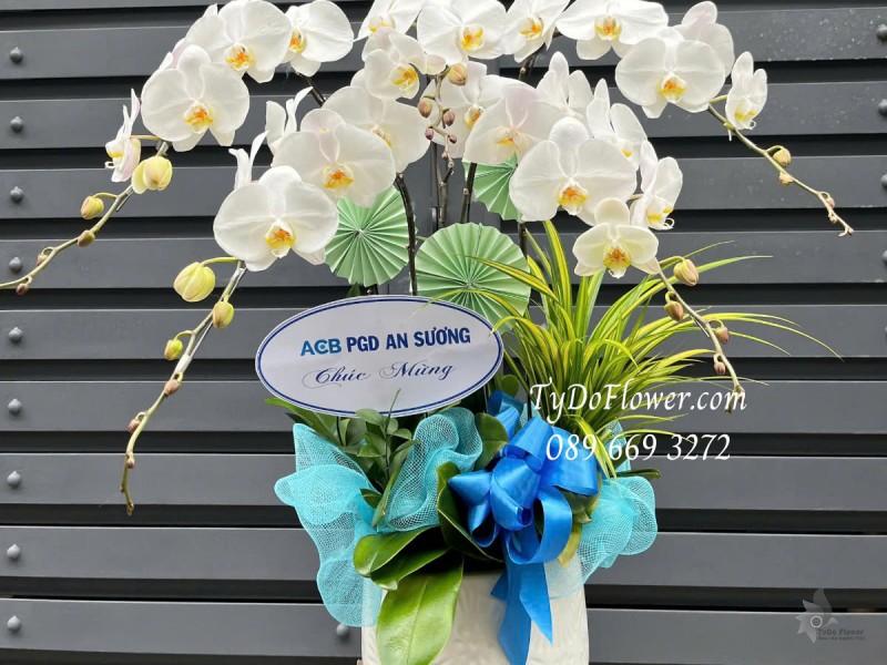 L0125166 CHẬU 05 CÀNH LAN HỒ ĐIỆP TRẮNG Hoa Chúc Mừng Thiết kế Cây Xanh Tiểu Cảnh, Phụ Kiện Trang Trí Quạt Giấy