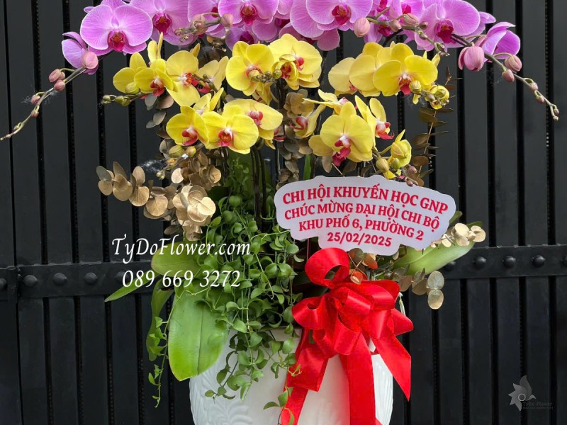 L0125168 CHẬU 09 CÀNH LAN HỒ ĐIỆP TÍM VÀNG Hoa Chúc Mừng Đại Hội Thiết kế Cây Xanh Tiểu Cảnh, Phụ Kiện Trang Trí Cao Cấp
